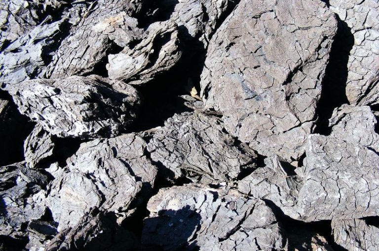 Lignito Qué es, características, composición, formación, usos Mineral