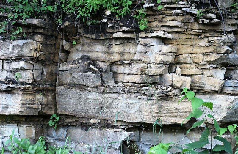 Las rocas sedimentarias